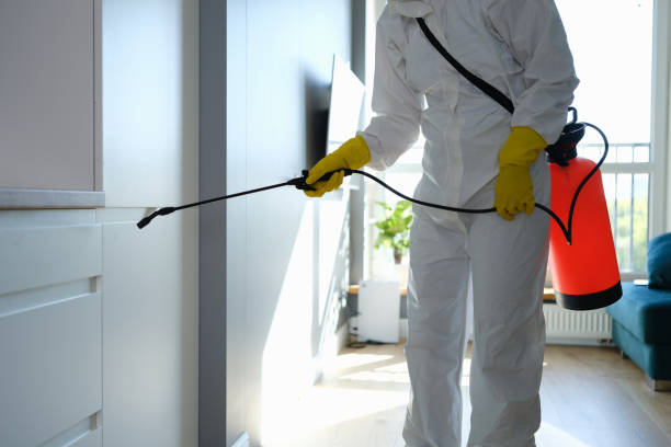 Best Crawl Space Mold Remediation in Davisboro, GA